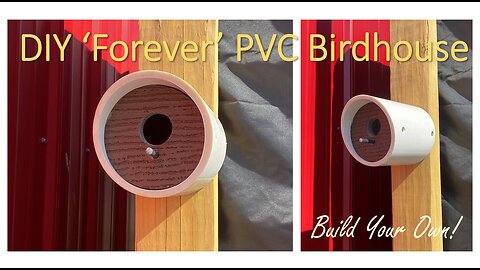 TNT #216: DIY PVC Birdhouse Build