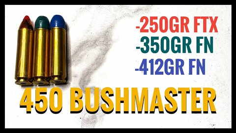 450 Bushmaster Test Loads: 250gr FTX + Cast 457-340 + Cast 457-405 - Lil Gun, 1680, CFE BLK + CCI450