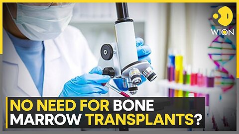 Lab-grown blood stem cells could replace bone marrow transplants: Report | Latest News | WION