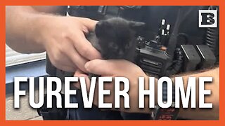 Furry Tale: Police Officer Adopts Kitten He Rescued from Roadway