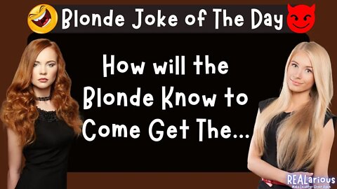 Funny Blonde Jokes: For the Adults