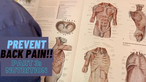 HOW YOUR DIET IS HURTING YOUR BACK!! (PT3/6: NUTRITION)