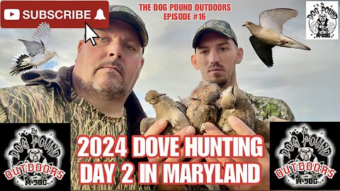 DOVE HUNTING DAY 2 IN MARYLAND WITH SCHRADER’S OUTDOORS!