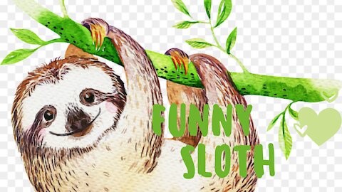 it is not alien, but Baby Sloths Funny Sloths - Interesting Compilation