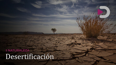 Naturaleza | Desertificación (2019)