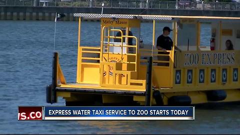 Tampa's Pirate Water Taxi will now take you to the Zoo