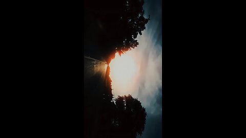 Random Shot's 🌄🌻 Cinematic