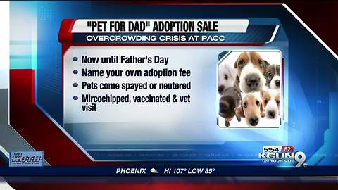 Pet for Dad adoption special at Pima Animal Care Center