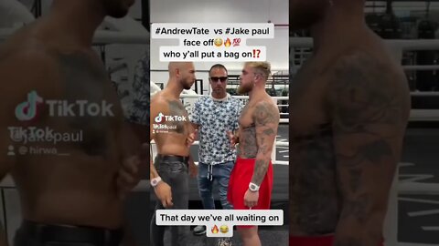 Andrew Tate VS Jake Paul FACE OFF #andrewtate #jakepaul #boxing #jakepaulboxing #andrewtateboxing