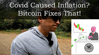 Covid Caused Inflation? Bitcoin Fixes That! Viruses Don't Print Money, The Fed Does