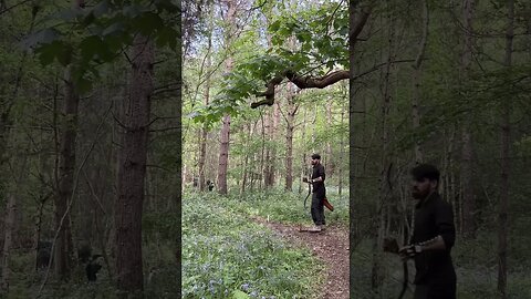 73LBS Saluki Tartar Bow Between Trees