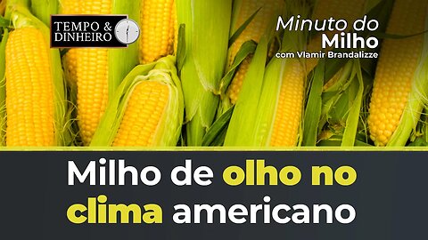 Milho de olho no clima americano