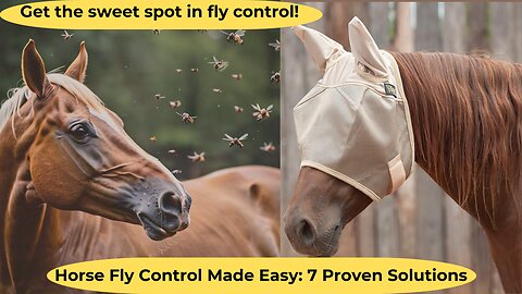 Horse Fly Control Made Easy: 7 Proven Solutions #HorseFlyControl #equinecare #horseownertips