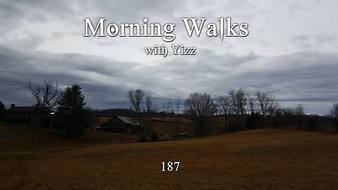 Morning Walks with Yizz 187