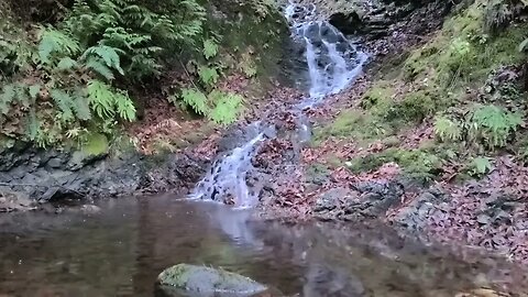 White noise: water fall, great for relaxation, meditation or falling asleep.