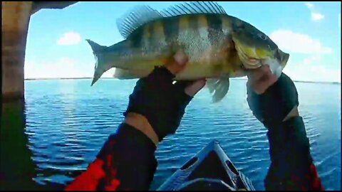 #6 Fishing Peacock Bass Blue on the Bridge Pillar 2 - Kayak Fishing - Ultralight Fishing - Pesca de Tucunaré