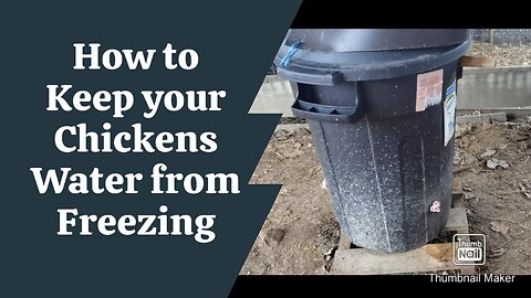 DO THIS to keep your chickens water from freezing #homesteading #farmlife