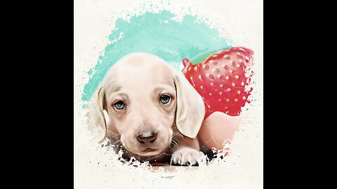 Cute Dog eating Strawberry