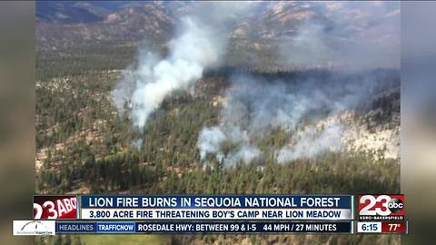 The Lion Fire has burned more than 3800 acres in the Sequoia National Forest