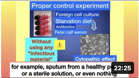 The SCAM that is Virology - The Final Refutation of Virology by Dr. Stefan Lanka