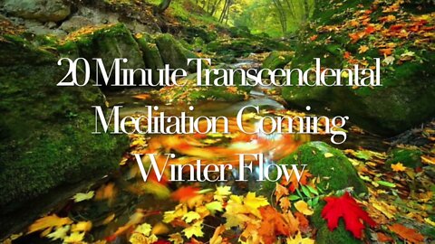 Transcendental Meditation Music 20 Minutes