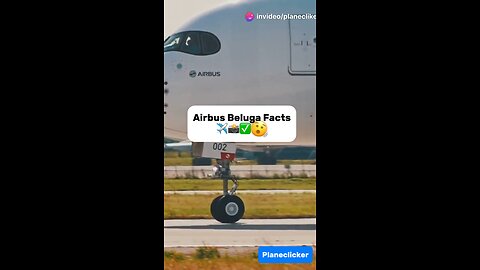 Airbus Beluga,The Flying Whale Interesting Facts🐳✈️🫨✅