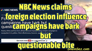 NBC News claims foreign election influence campaigns have bark but questionable bite-646