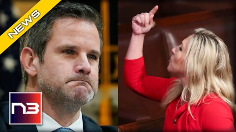 Kinzinger EPICLY ROASTED After Slamming McCarthy When He Featuring ONE PERSON in GOP Agenda Rollout