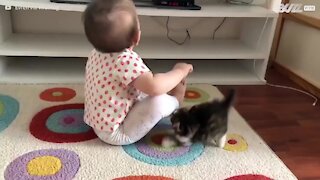 Gatinho faz de tudo para chamar a atenção de bebê