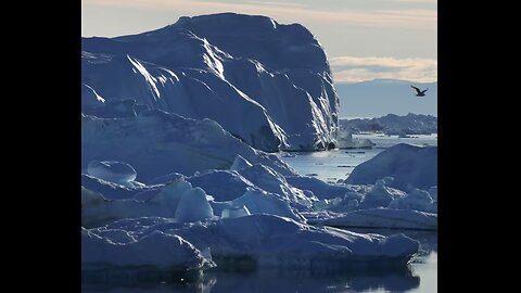 55 Democrats Urge Biden to Expand Arctic Protections