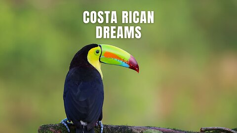 Costa Rican Dreams #urban #music #adventure #travelmusic #costarica #puravida