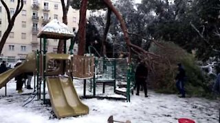 Roma: albero cade pericolosamente in un parco giochi