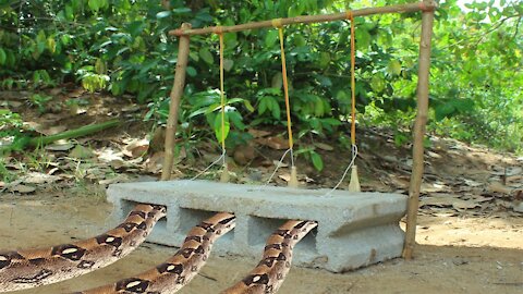 Easy Python Trap Creative Method Python Trap Using Brick