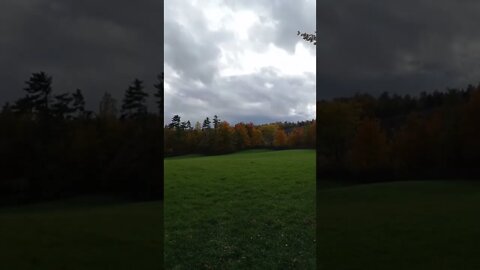 Beautiful Fall Foliage And Field