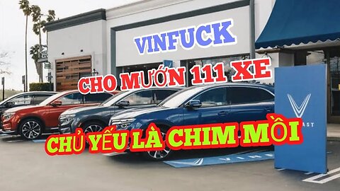 VINFUCK CHỈ CHO MƯỚN ĐƯỢC 111 CHIẾC XE, CHỦ YẾU LÀ CHO CHIM MỒI