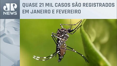 Governo de SP lança campanha de conscientização para combater a dengue