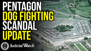 Pentagon Dog Fighting Scandal Update