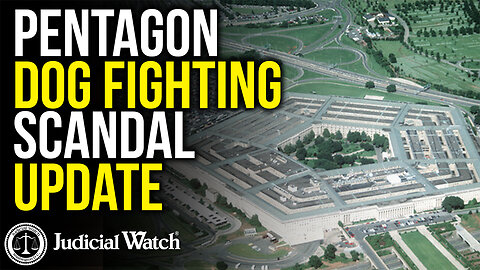 Pentagon Dog Fighting Scandal Update