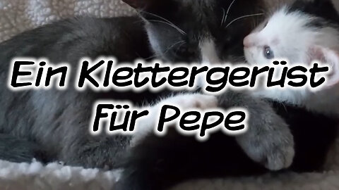 Mach's Dir. Selbst. - Ein Klettergerüst für Pepe