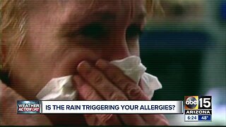 Is the rain triggering your allergies?