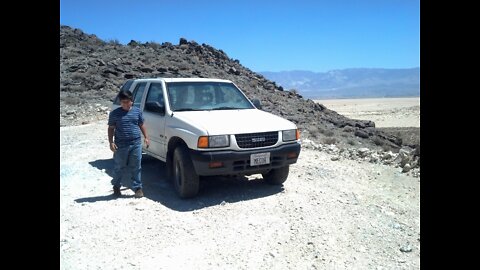 Dino Drives the Desert