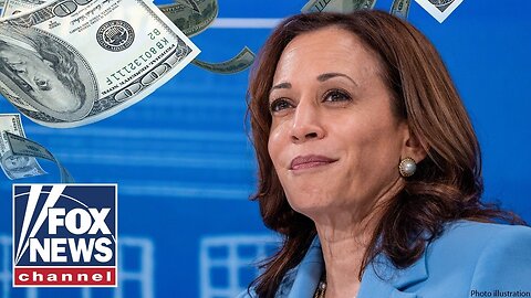 Kamala Harris is in a 'tough spot' with 'price fixing' economic plan: Andy Puzder