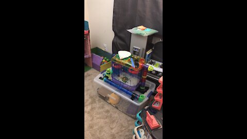 DIY hamster home & maze