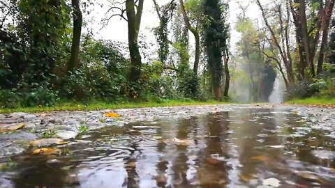 Rainstorm Sounds Raining Sound on Lake Dark Screen for Sleep ASMR