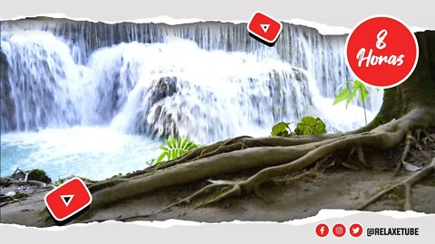 ♫ SOM DE CACHOEIRA DA FLORESTA AMAZÔNICA IDEAL PARA VENCER A ANSIEDADE 🍃 SONS DA NATUREZA 🕒 8 HORAS