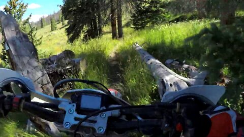 2019 Silverton Adventures - Pole Creek Loop - Pole Creek