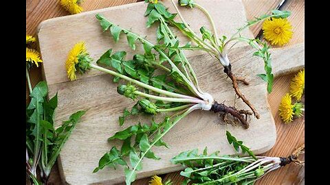 Dandelion Root (Taraxacum Officinalis)