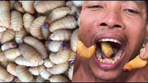 Primitive Survival Skill | Cooking coconut worms primitive living