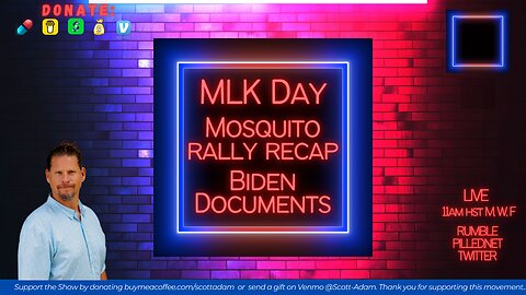 Ep. 29 MLK Day, Mosquito Rally Recap, Twitter Files and Biden Docs