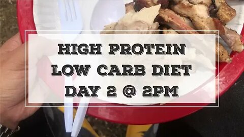 High Protein-Low Carb Diet + OMAD (Day 2)